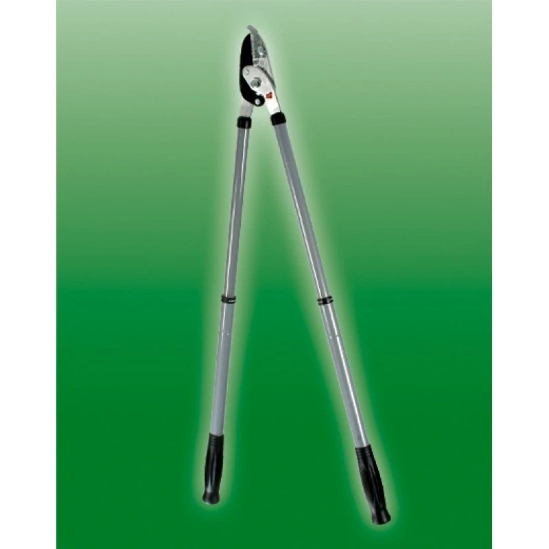 Talen Tools Takkenschaar Voorbijsnijdend, Telescopisch 2 Talen Tools Takkenschaar Voorbijsnijdend, Telescopisch