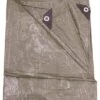 Talen Tools Afdekzeil 5 X 8 Meter Groen 90 Gr/m2 -Talen Tools afdekzeil 5 x 8 meter groen 90 grm2 5413701029150 1 0 591x699