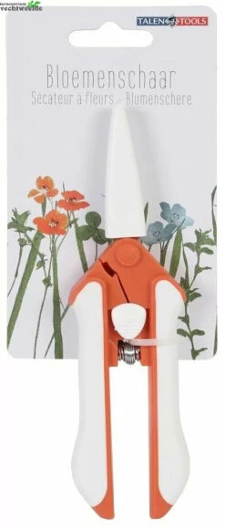 Talen Tools Bloemenschaar Violet